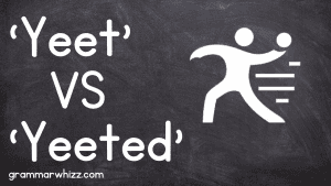'Yeet' or Be 'Yeeted' Meaning, Examples & More - Grammar Whizz